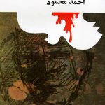همسایه ها